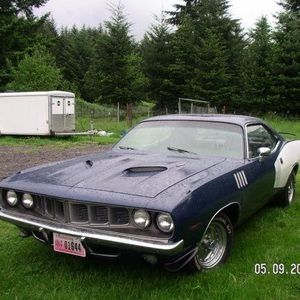 Meet your Posher, Lynn